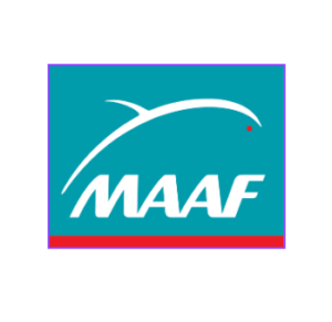 Capture d’écran 2024-12-17 202140